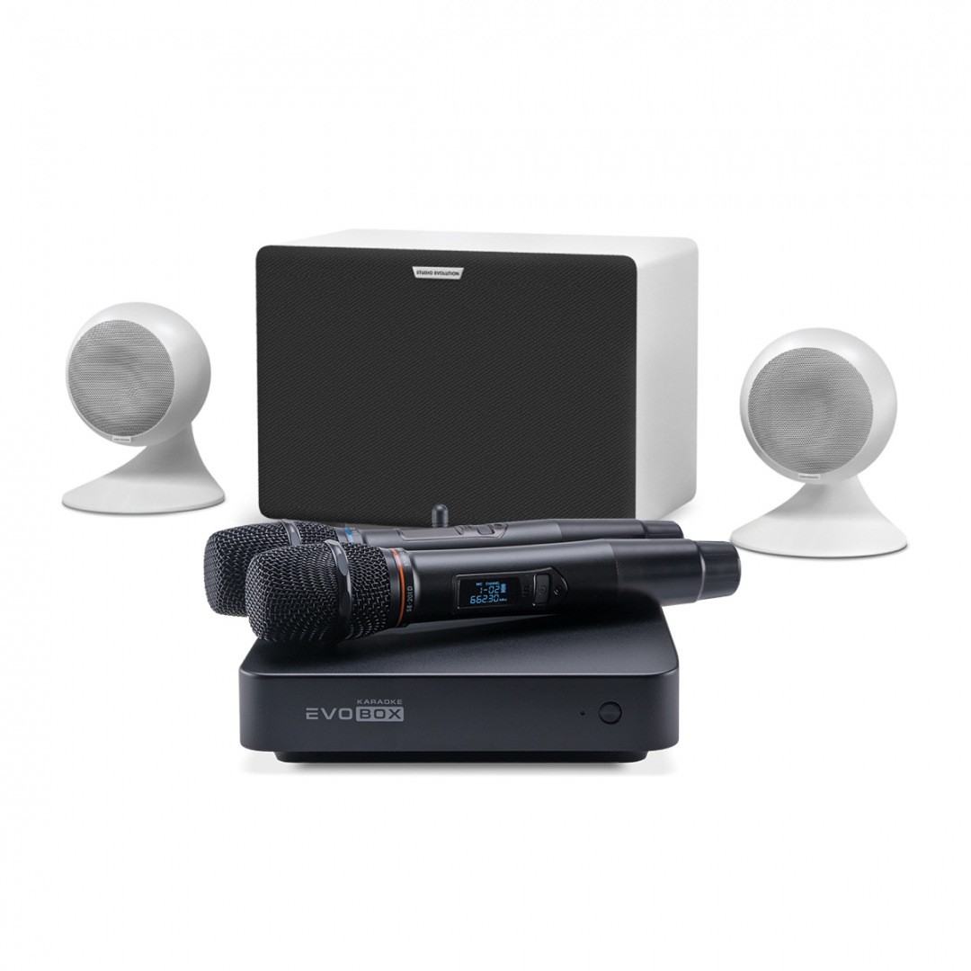 караоке-комплект EVOBOX Classic + EvoSound Sphere 2.1 в Рязани