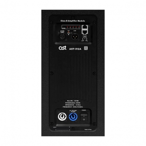 Активная акустическая система AST-312A в Рязани