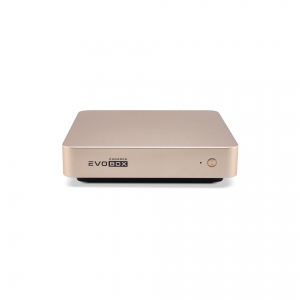 EVOBOX с микрофонами в Рязани